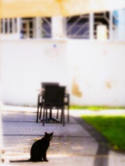 公園の黒タンは　片目のジャック～～♡