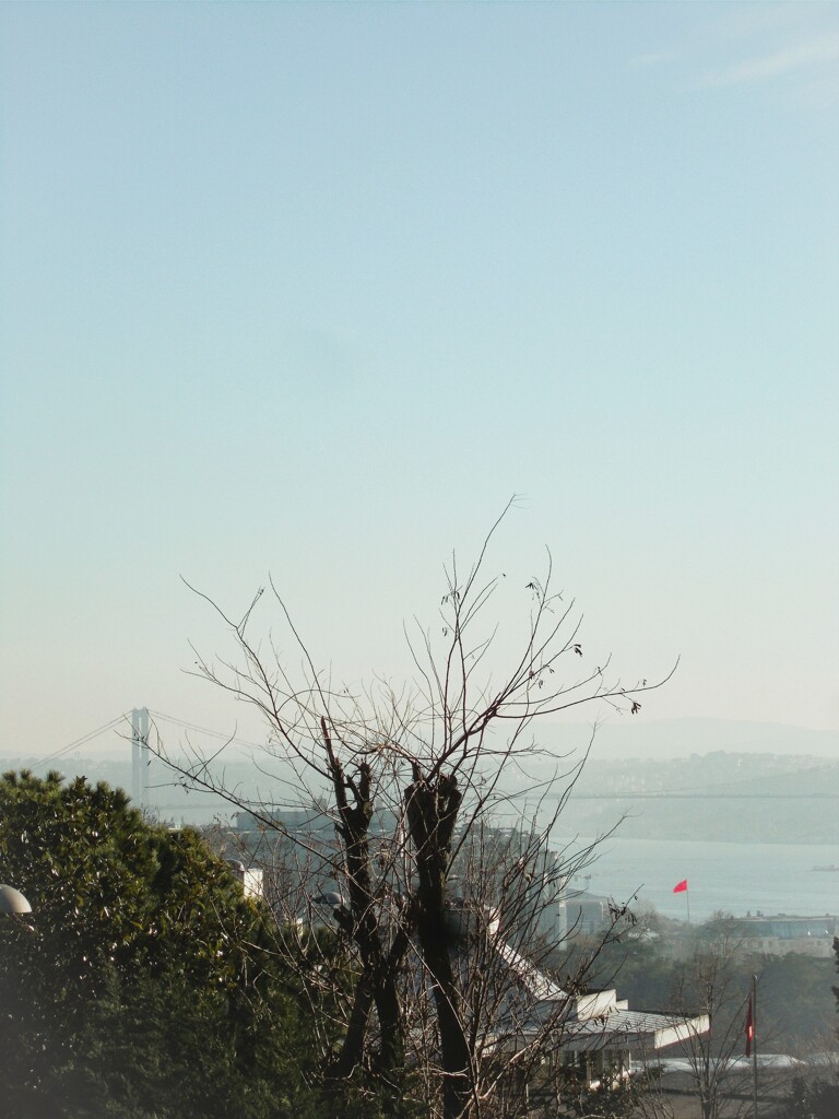 病み上がり…取り留めのない朝の海峡が心地いい…