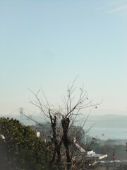 病み上がり…取り留めのない朝の海峡が心地いい…