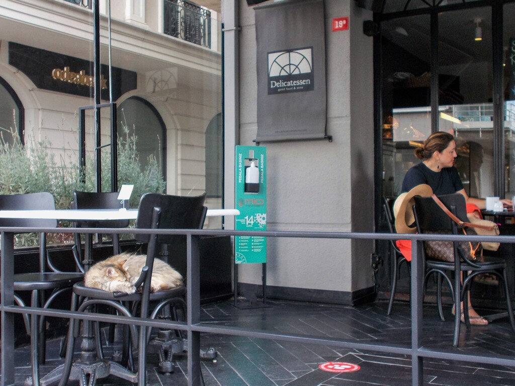 朝　住宅街のカフェ～