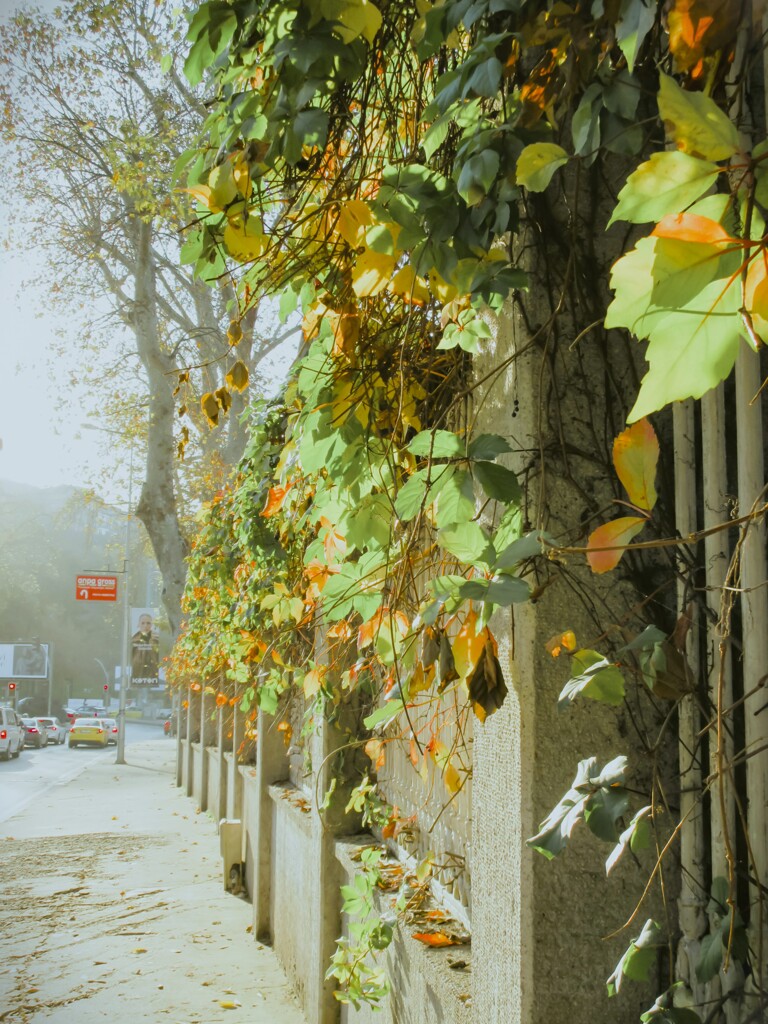 透明色の中で…