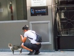 お兄さん　かまってくれて～シッポ　ピーーン～♡