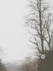 時間の息吹きが…聞こえてきたよ…