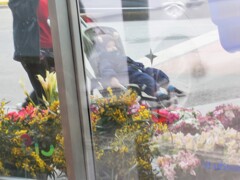 遠－い記憶の断片＊～＊