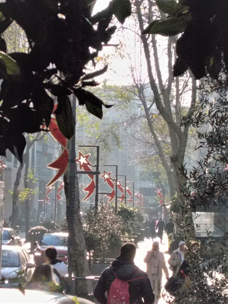 冬かすみの中で～～