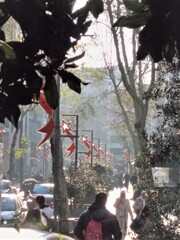 冬かすみの中で～～