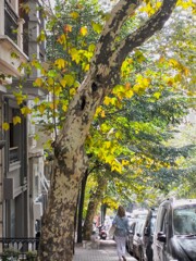 秋光の中へ～　どこにだって希望はある～♡