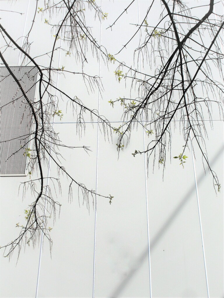 先ず　2.３枚ずつ練習してから～～♪