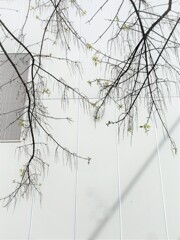 先ず　2.３枚ずつ練習してから～～♪