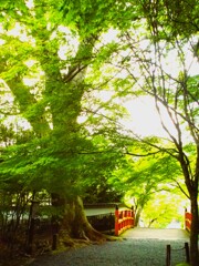 精神風土…？ってあるんでしょうね…