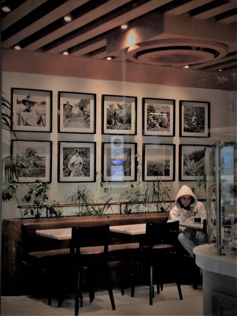 ホッとする～～ぼんやりとした暗さ…