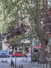 沢山のため息を吸い込んだ様な情景…