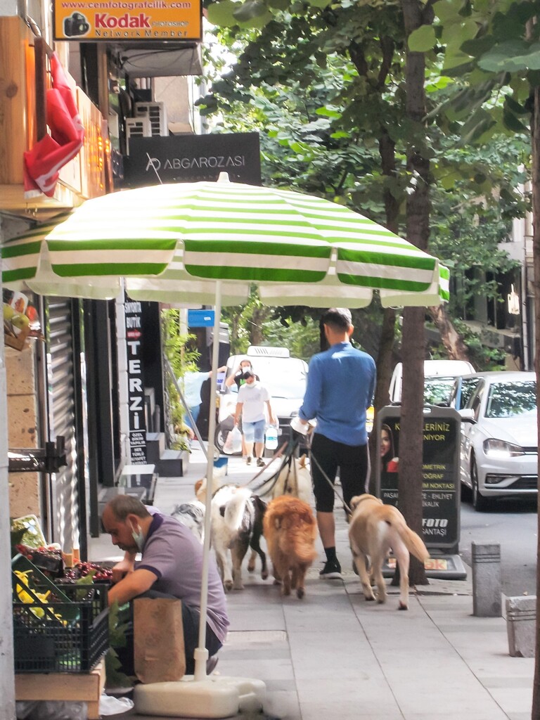 八百屋さんの新しいパラソル～☂