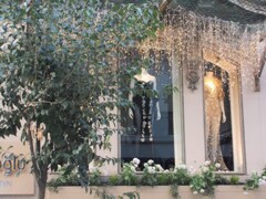 シンデレラ　ドリーム～☆