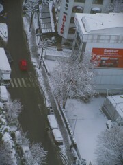 雪の中～　burning red～☆