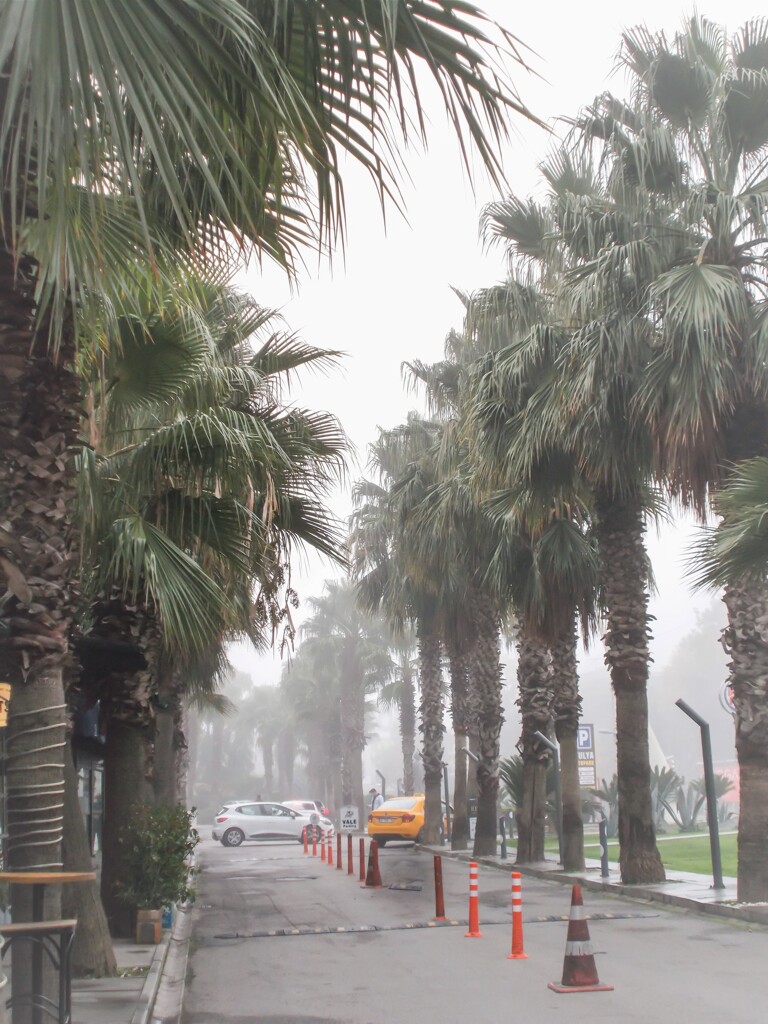 ショッピングモール～霧の中～