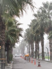 ショッピングモール～霧の中～