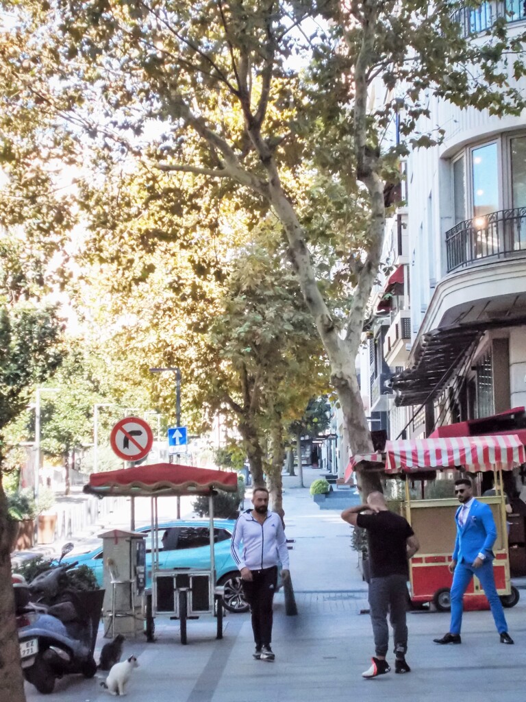 人間観察中ニャのだ…