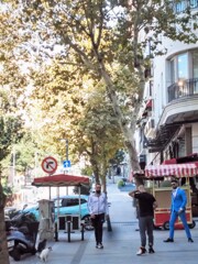 人間観察中ニャのだ…