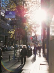 晴れた朝の断片…