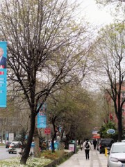 まだまだ…遠い春…　