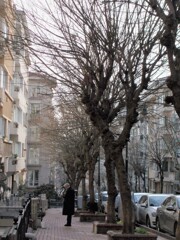 重ねてきた年月達～～