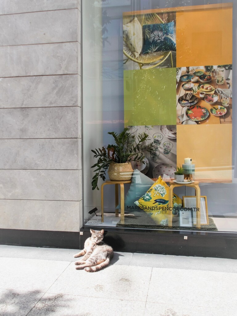 永くて　寒い冬だった～～✨