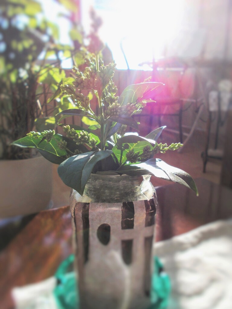 ある朝～✨