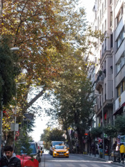 森の中の街～イスタンブール