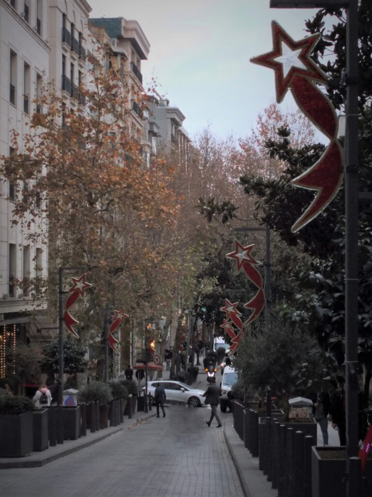 散っていく葉っぱ…やって来る新しい歳…