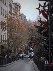 散っていく葉っぱ…やって来る新しい歳…