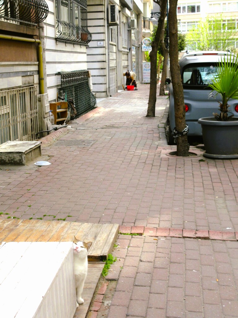 私の住む街～♡