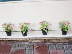 お金持ちのパパと美人のママの傍にいるうちは君は安全だよ～♪