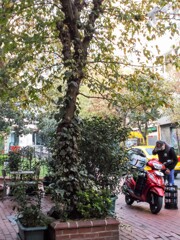 トロス山脈のミネラルウォター宅配～