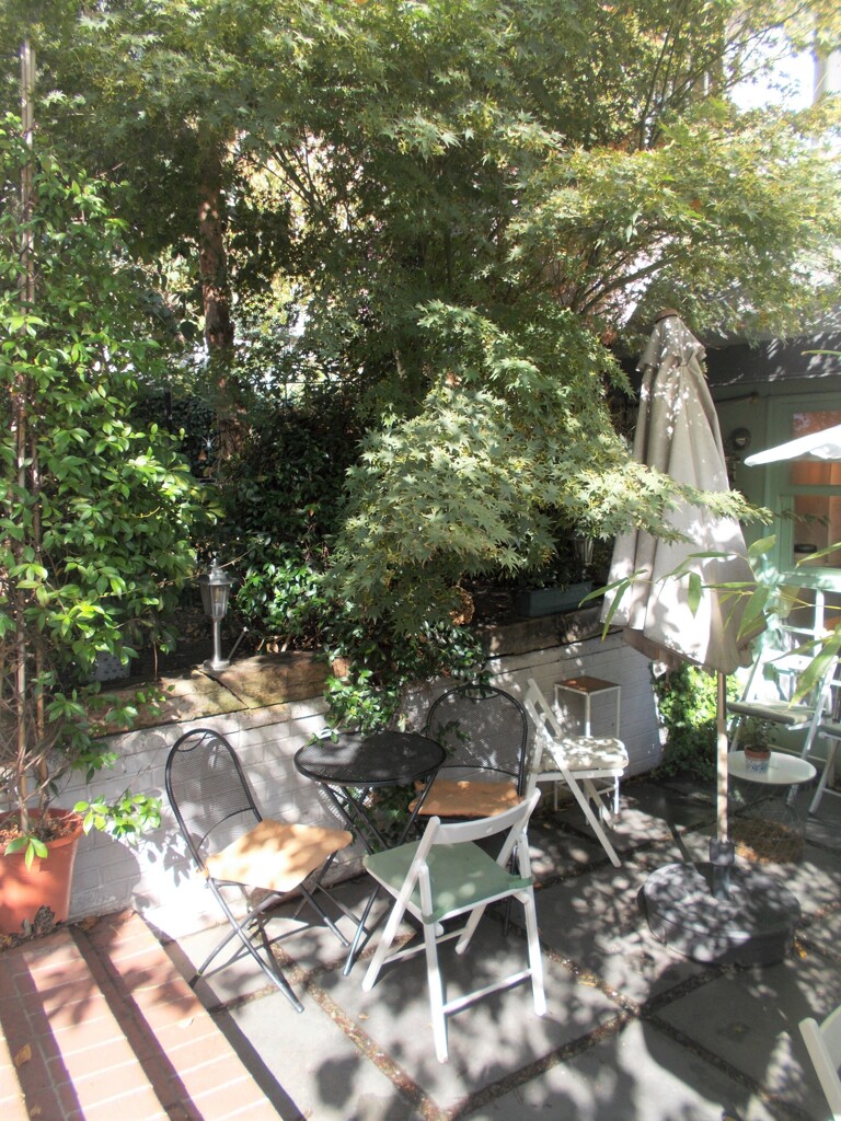 まだ　こんな朝も～～