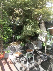 まだ　こんな朝も～～