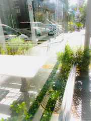 夏の日々～茫々～～