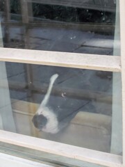 覗いて～覗かれて～♪