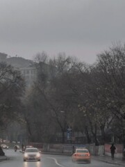小ぬか雨…。。。…