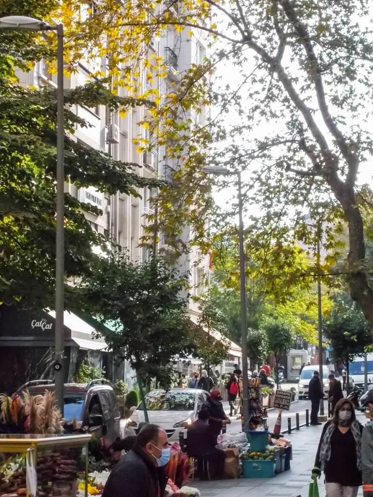 それぞれの朝…