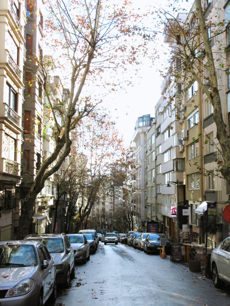 やっと雨が止んだ…