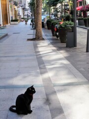 黒たんの紅い鈴～～♪