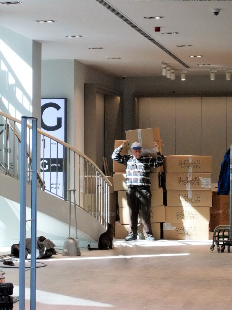 猫とおじちゃん…①