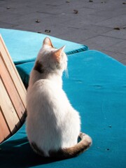 後姿が　♡❤♡～