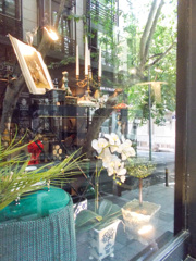 緑のショーウィンドウ