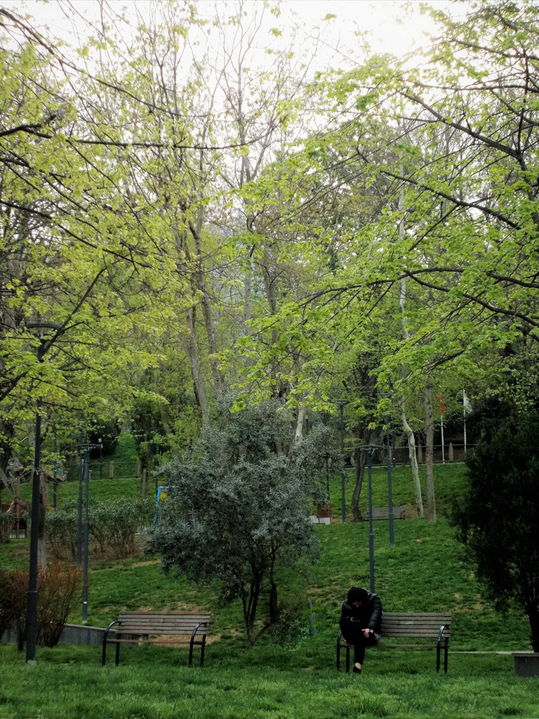 メッセも緑色～♪