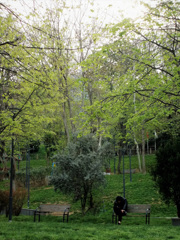 メッセも緑色～♪