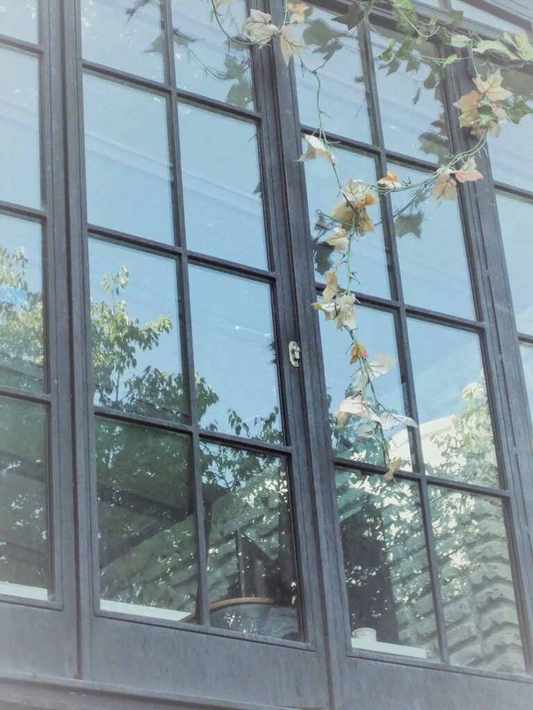 夏なのに…　枯れていく…