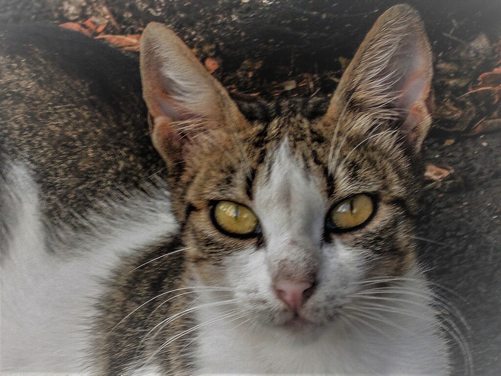 感謝を込めて～～♡