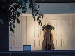 衣の下の病葉＊＊＊